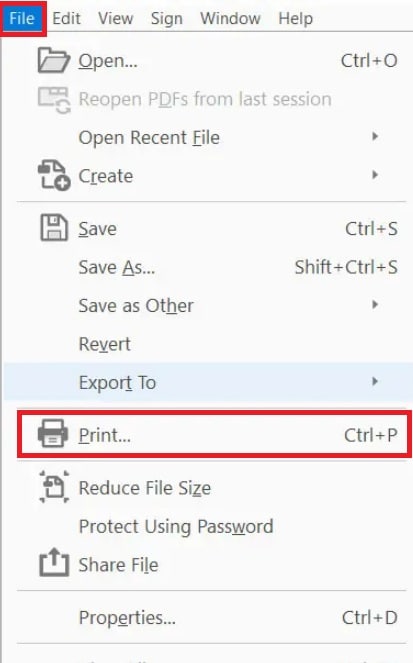 print xml file
