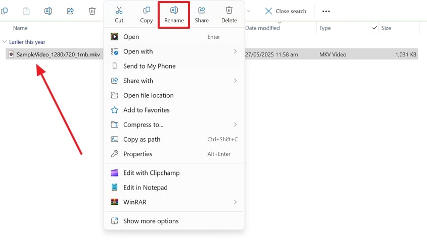 rename unsupported file format