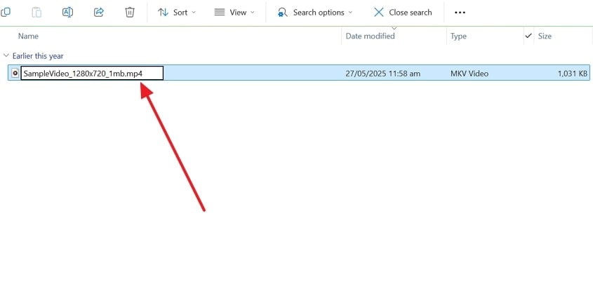 change file extension to compatible format