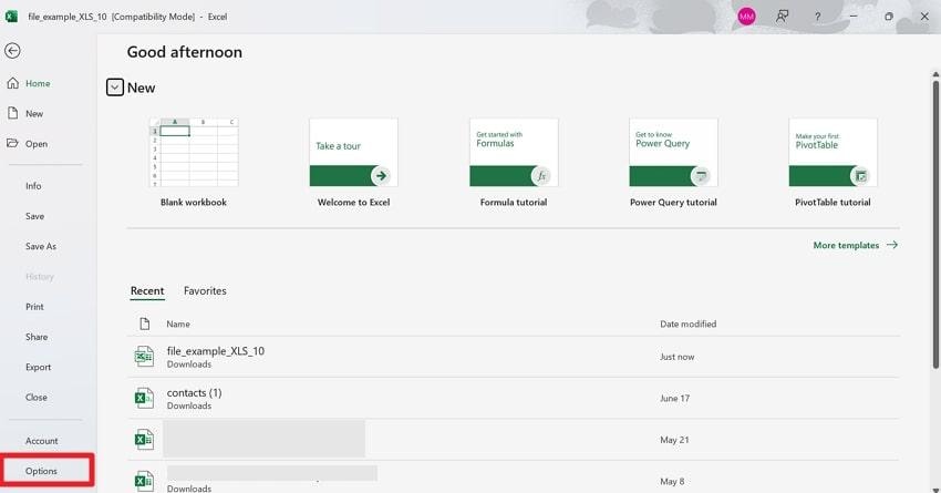 access excel file options