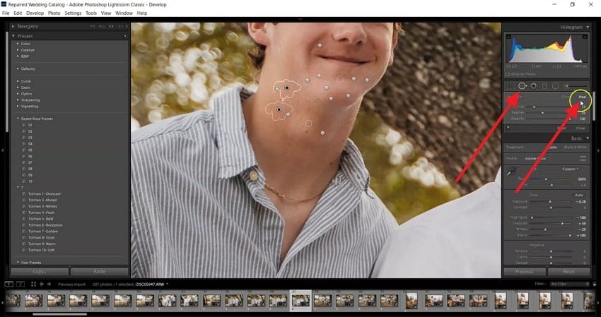 access spot removal tool lightroom