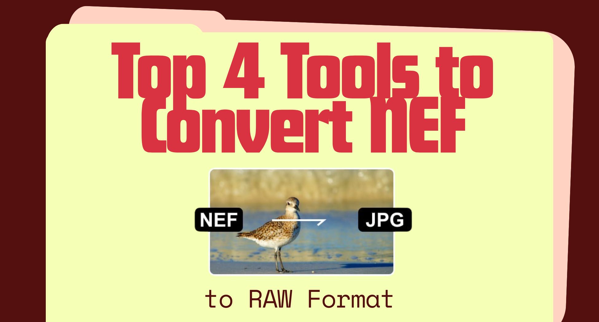Top 4 Tools to Convert NEF to RAW Format
