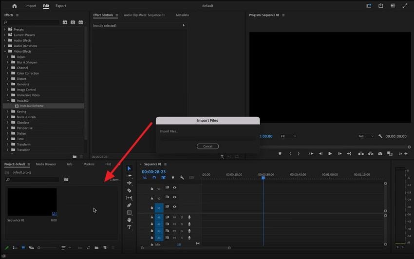 import file to project timeline