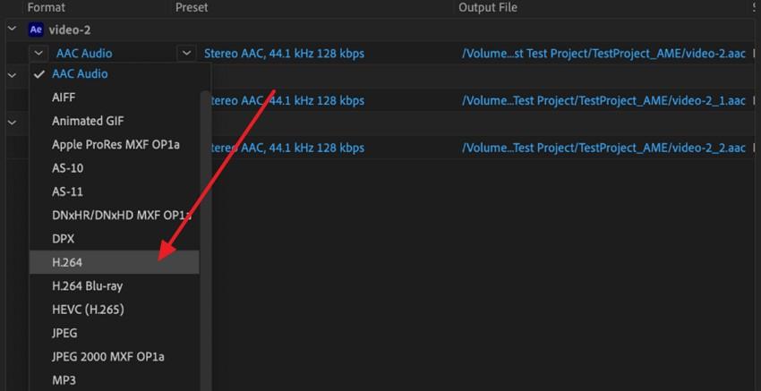 choose h 264 format