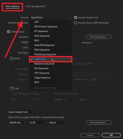 choose quicktime format