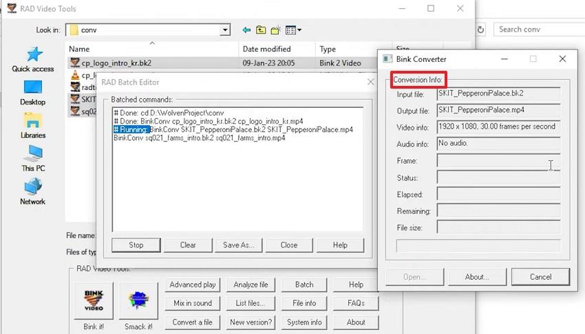 adjust conversion info