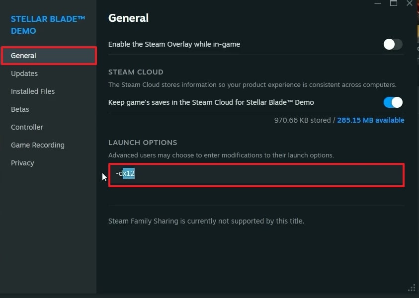 add directx version in launch options