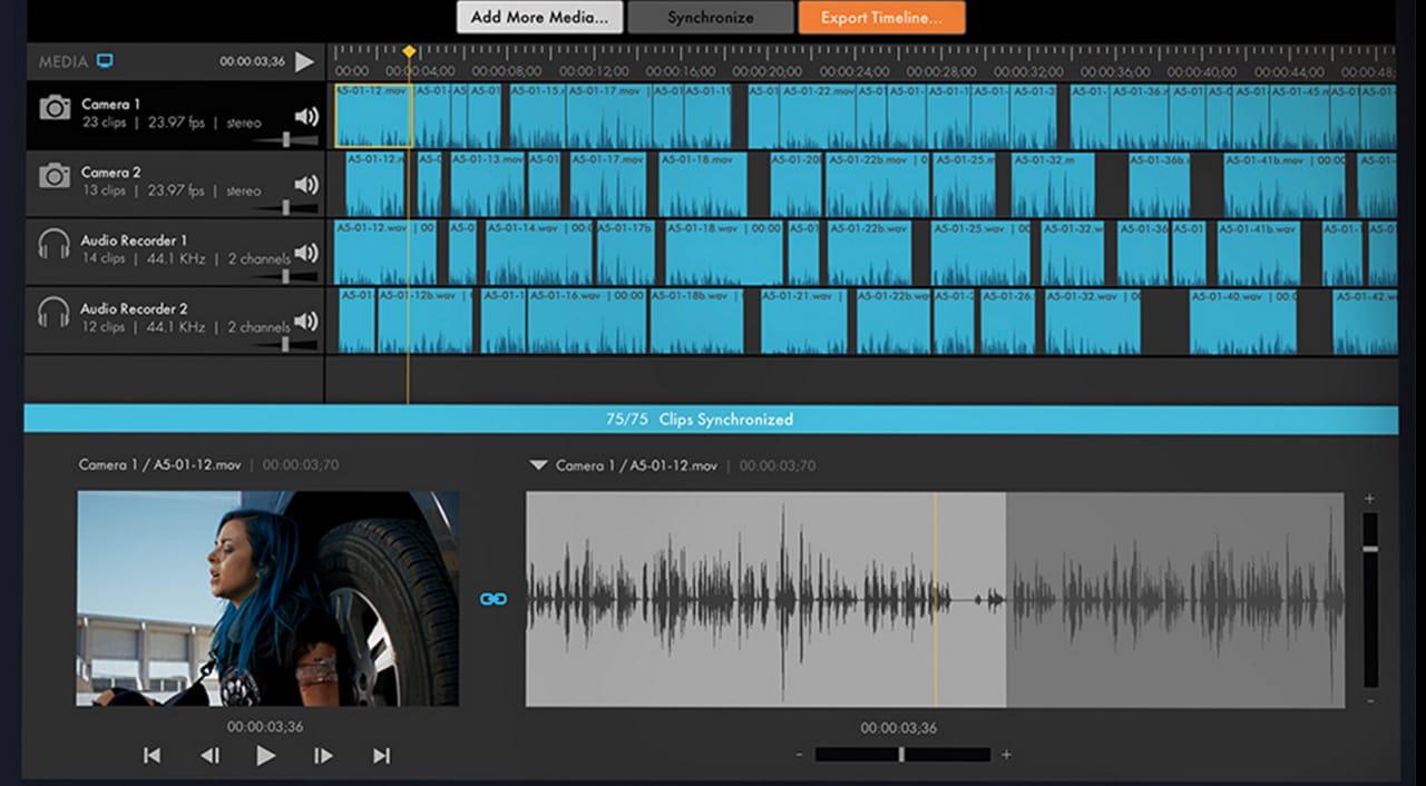 plural eyes sync audio and video