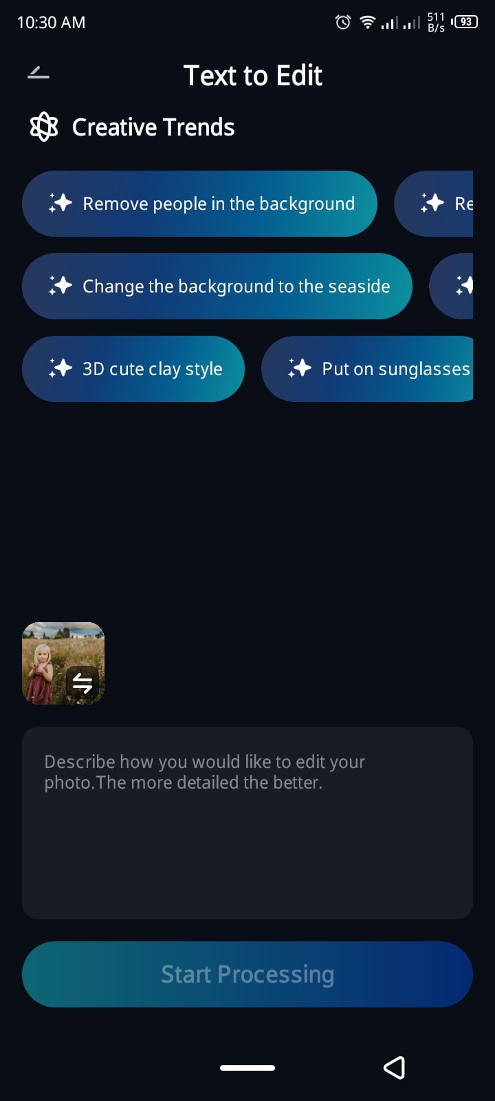 enter prompt and initiate processing