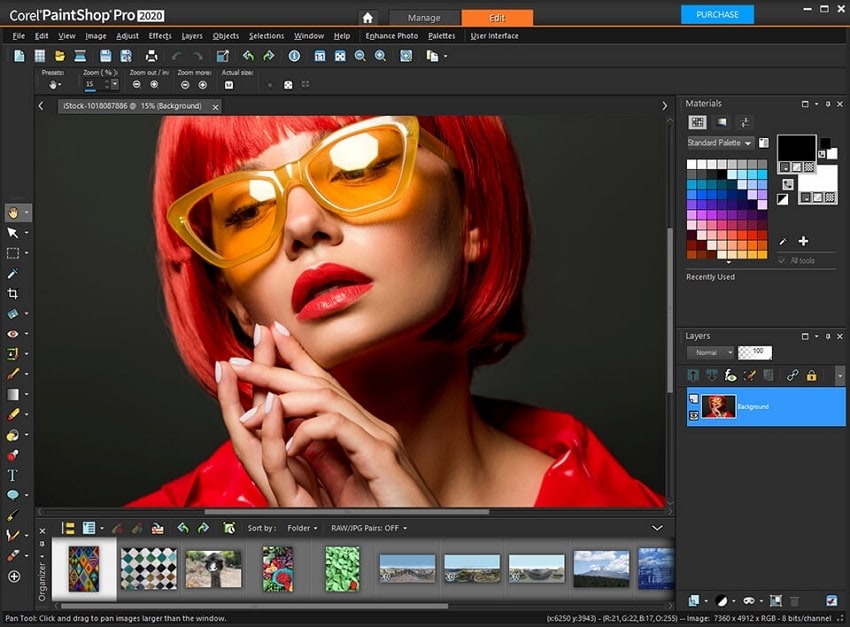 paintshop pro beginner’s photo editor