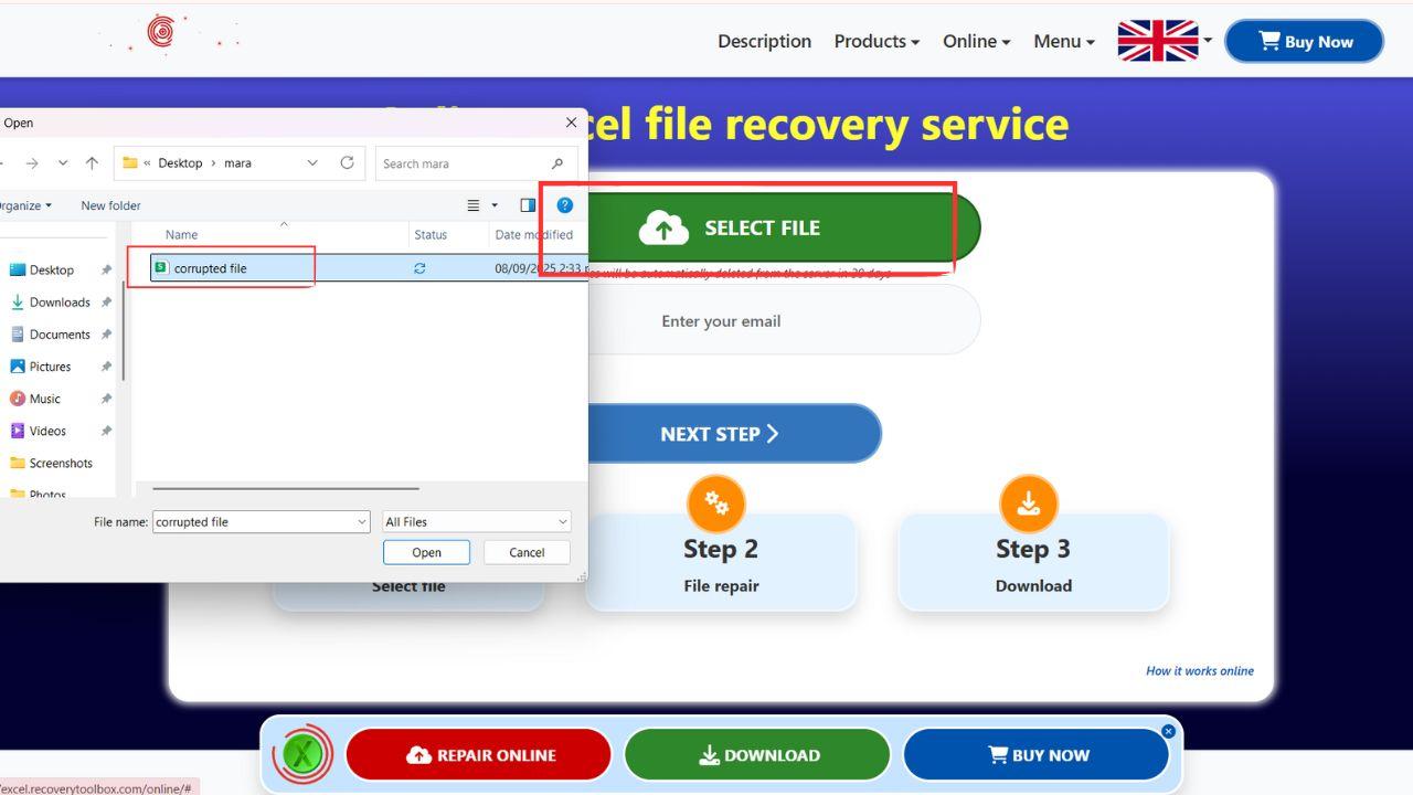 recovery toolbox select file