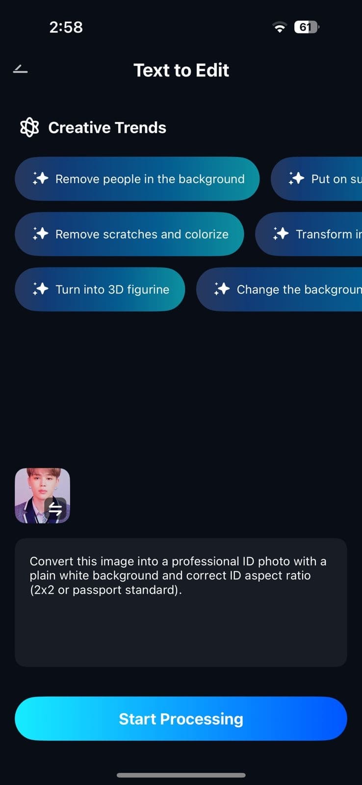 type prompt and start processing