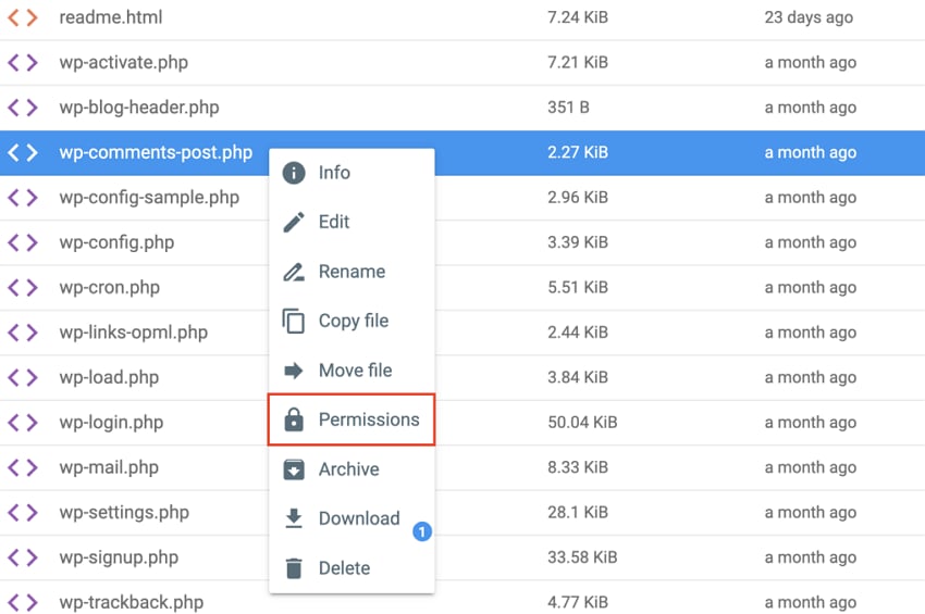 enter hosting providers file manager