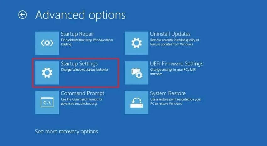 choose startup settings option