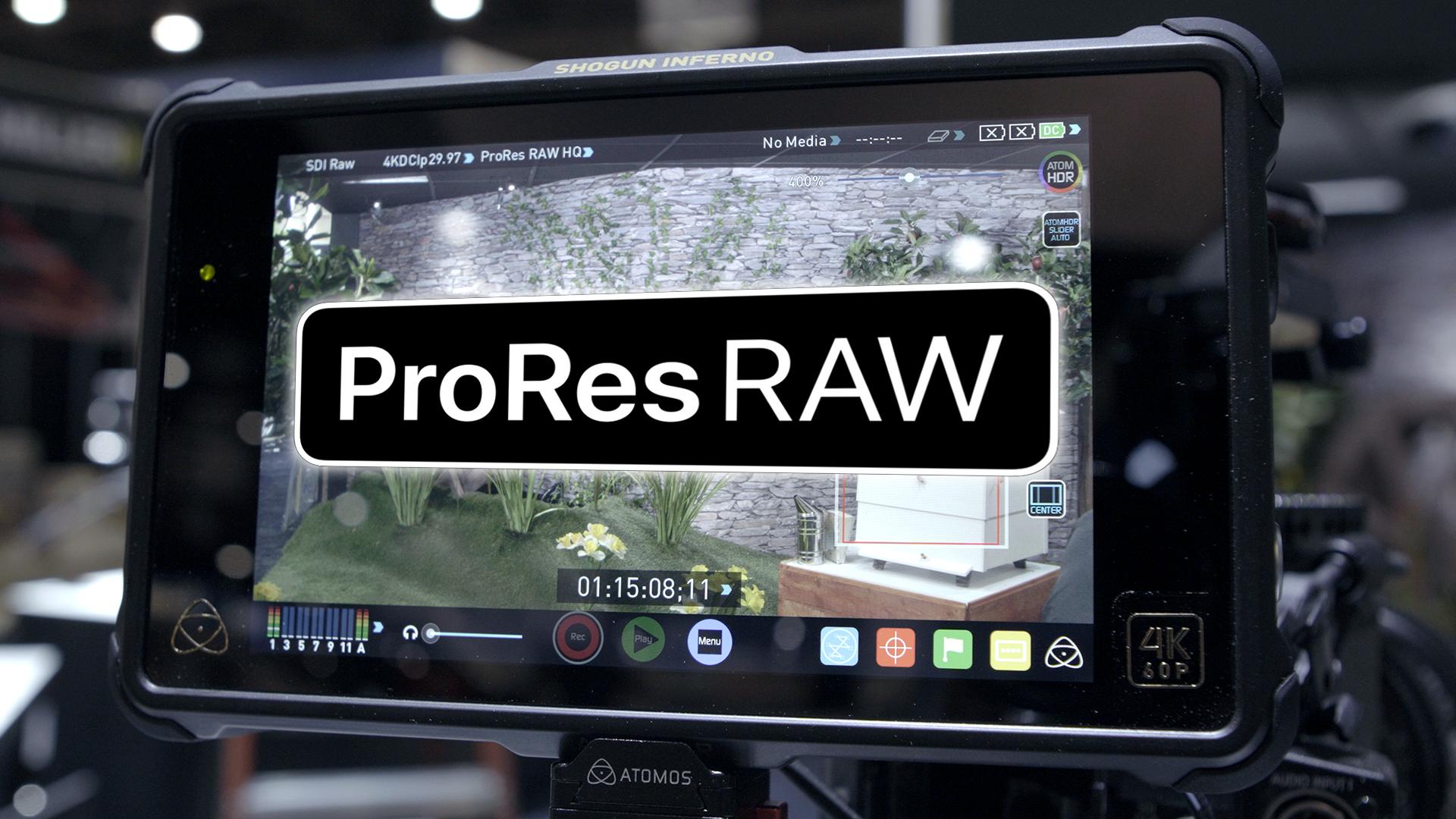 davinci resolve prores raw