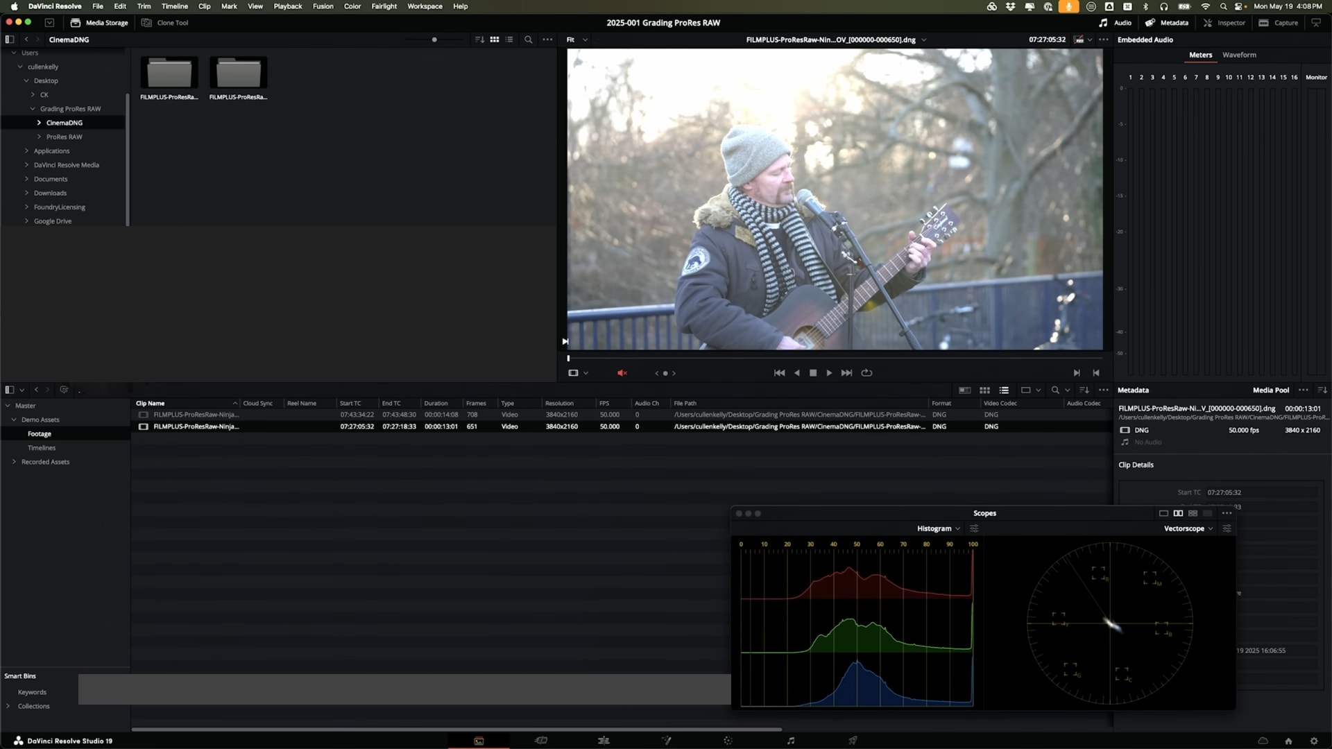 bring cinemadng to davinci resolve