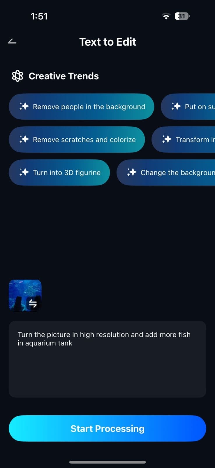 type prompt and start processing