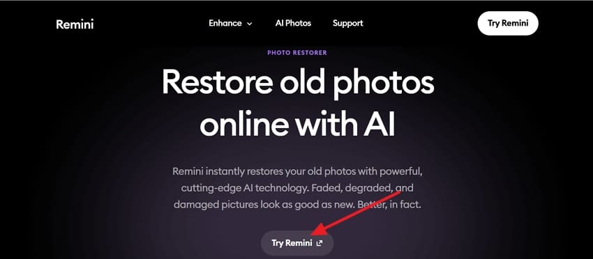 press try remini