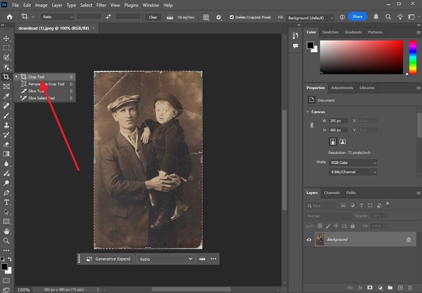 crop the image