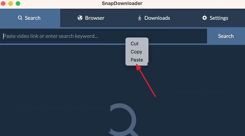 paste url on snapdownloader