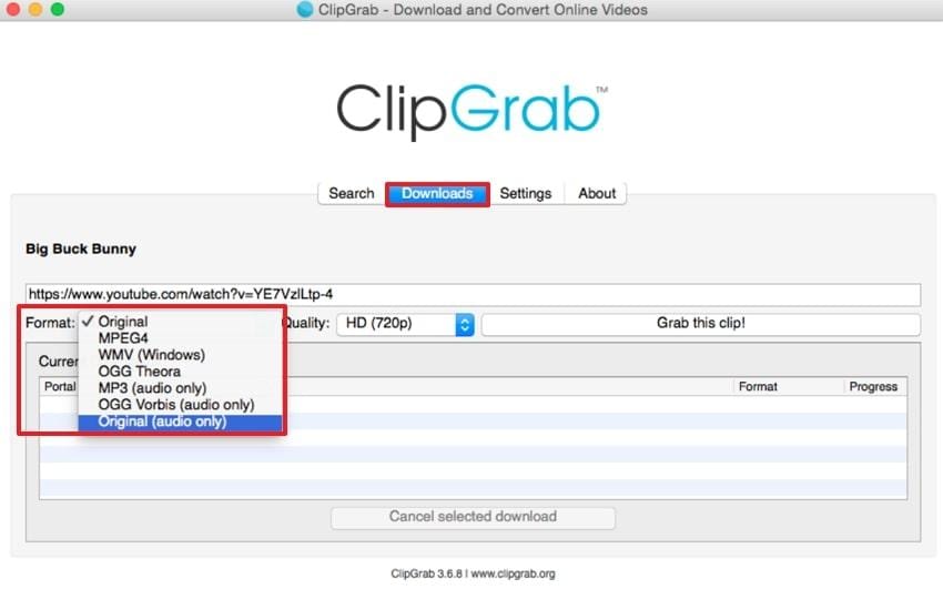 select format and download
