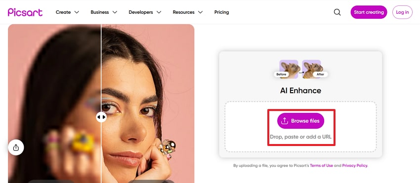 press browse file to upload