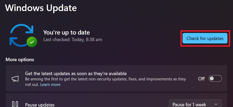 check for windows updates