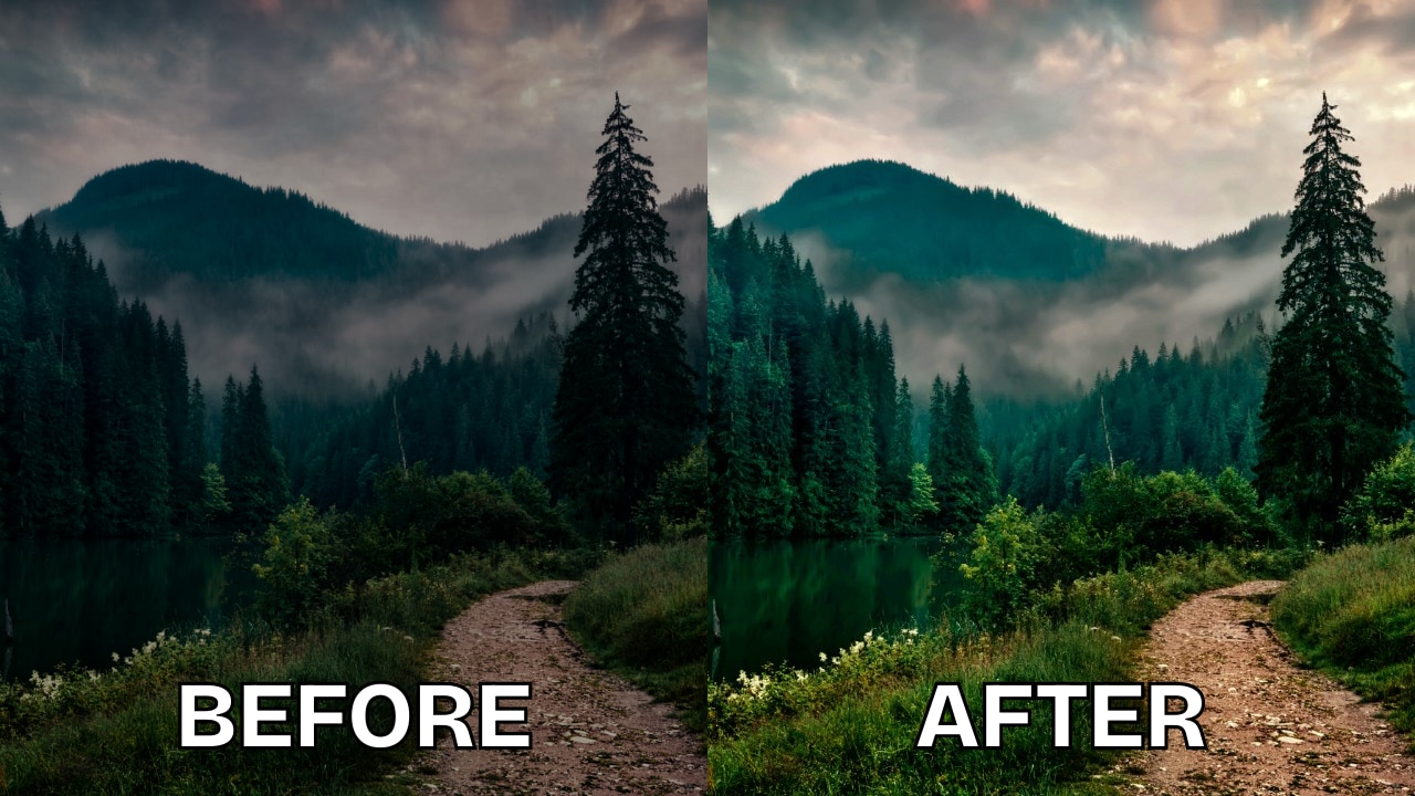 save your photo