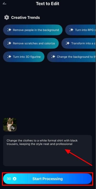 enter prompt and start processing
