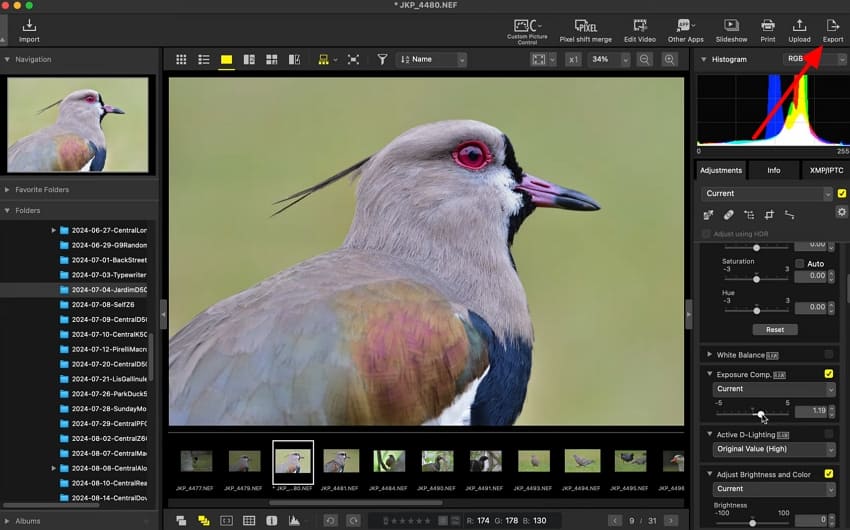 export final nikon video