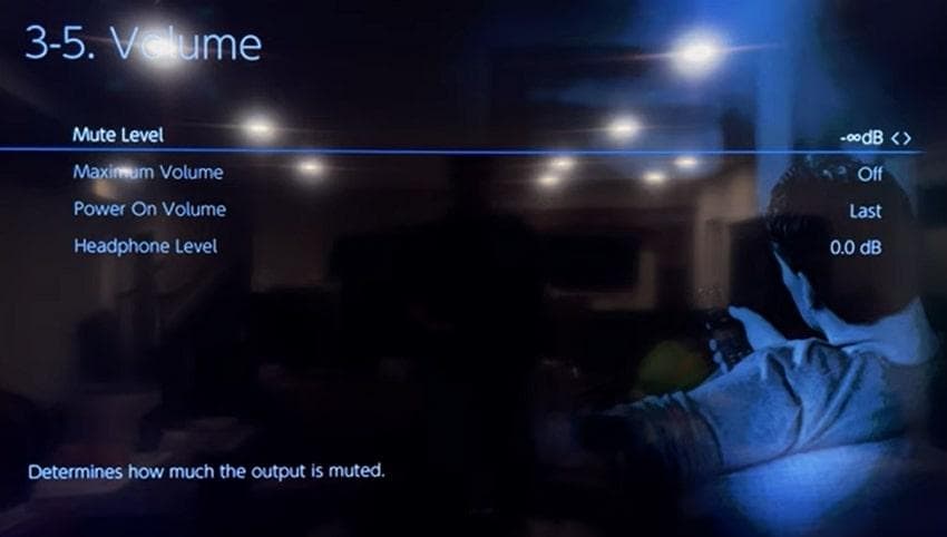 ensure mute and volume settings