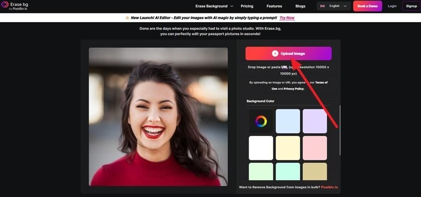 insert passport image
