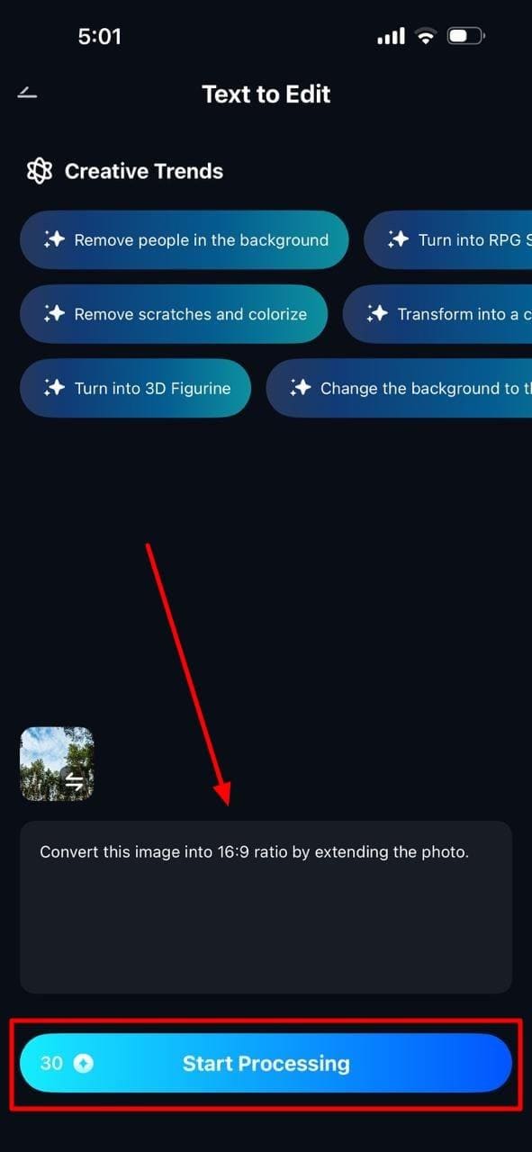 enter text prompt to start processing