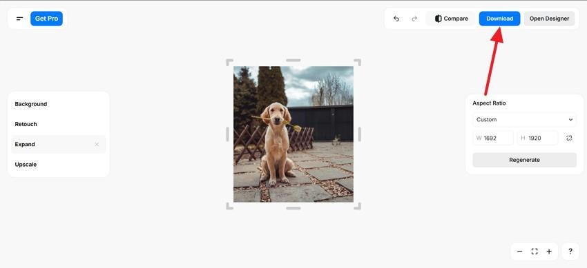 save expanded image pixelcut