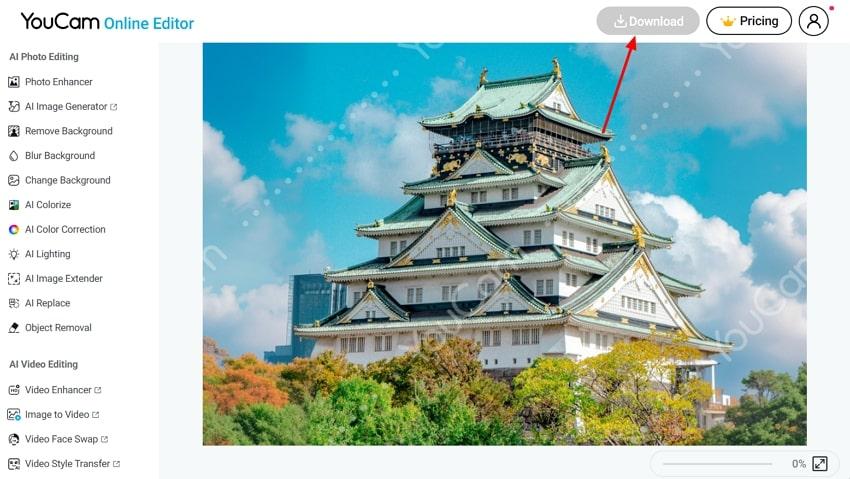 download extended image youcam