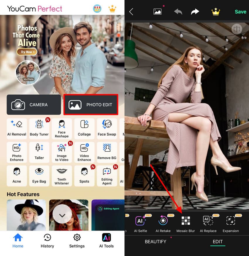 access mosaic blur youcam