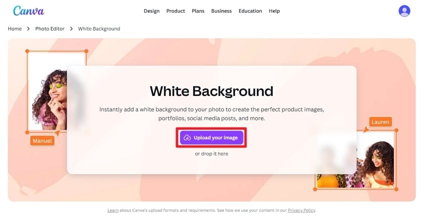 insert image on canva
