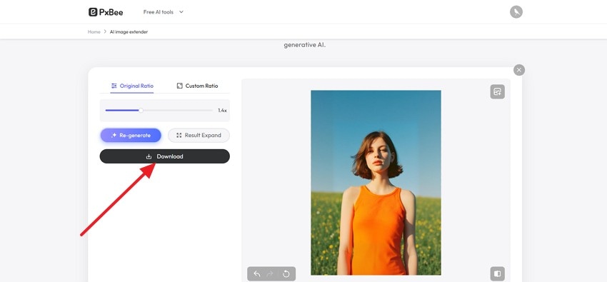 press the download button