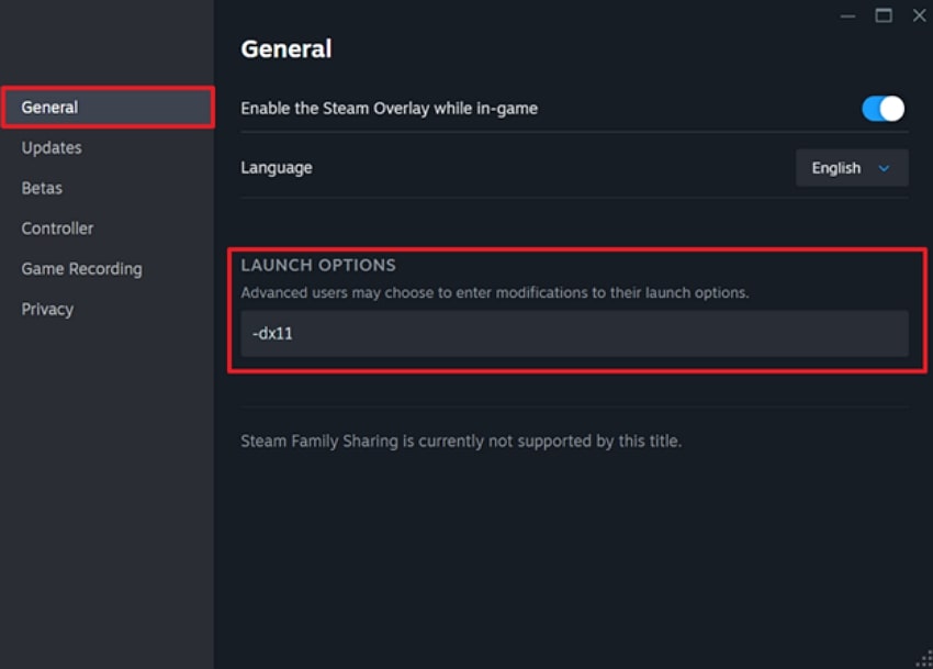 modify launch options