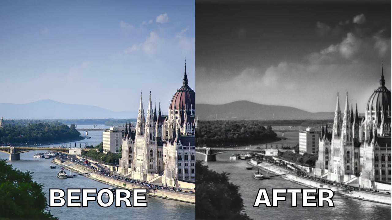 luminar neo black and white picture filter