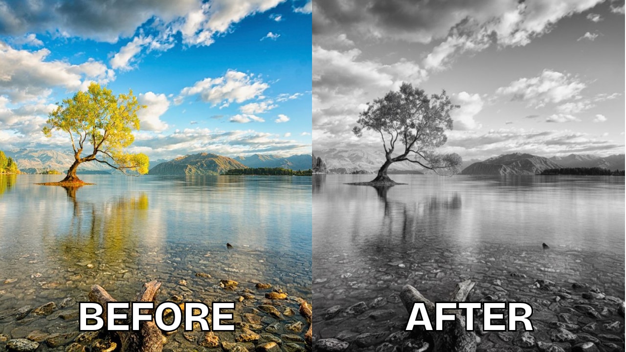 repairit black and white picture filterai