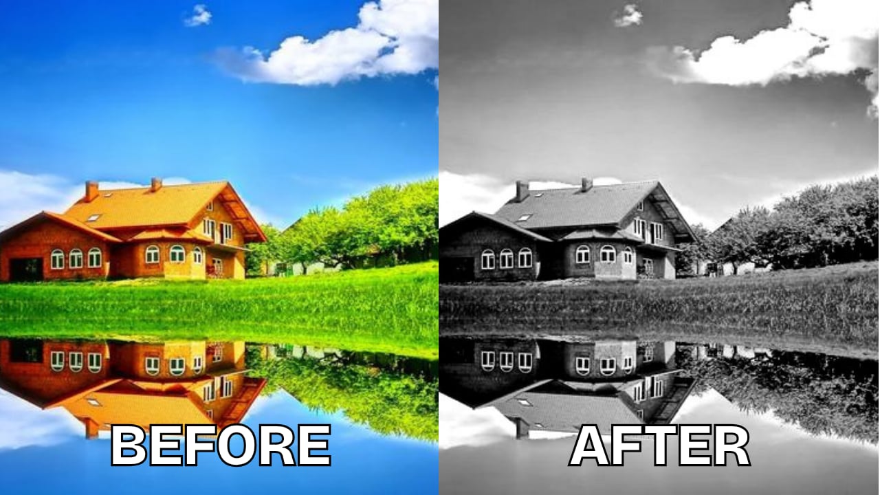 pixlr black and white picture filter