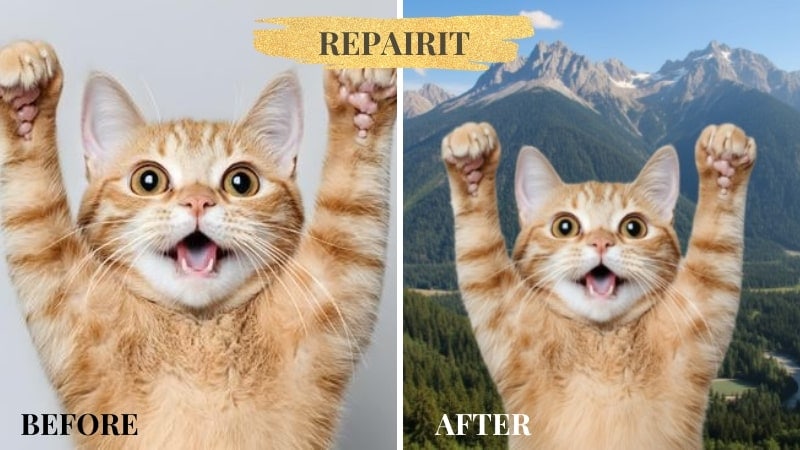 repairit cat photo editing tool