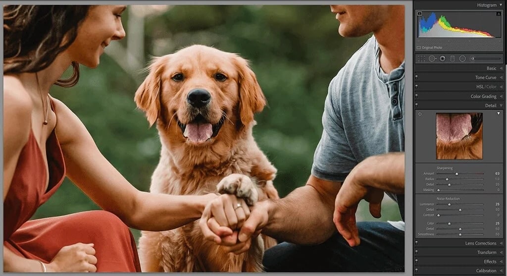 lightroom dog edit photo