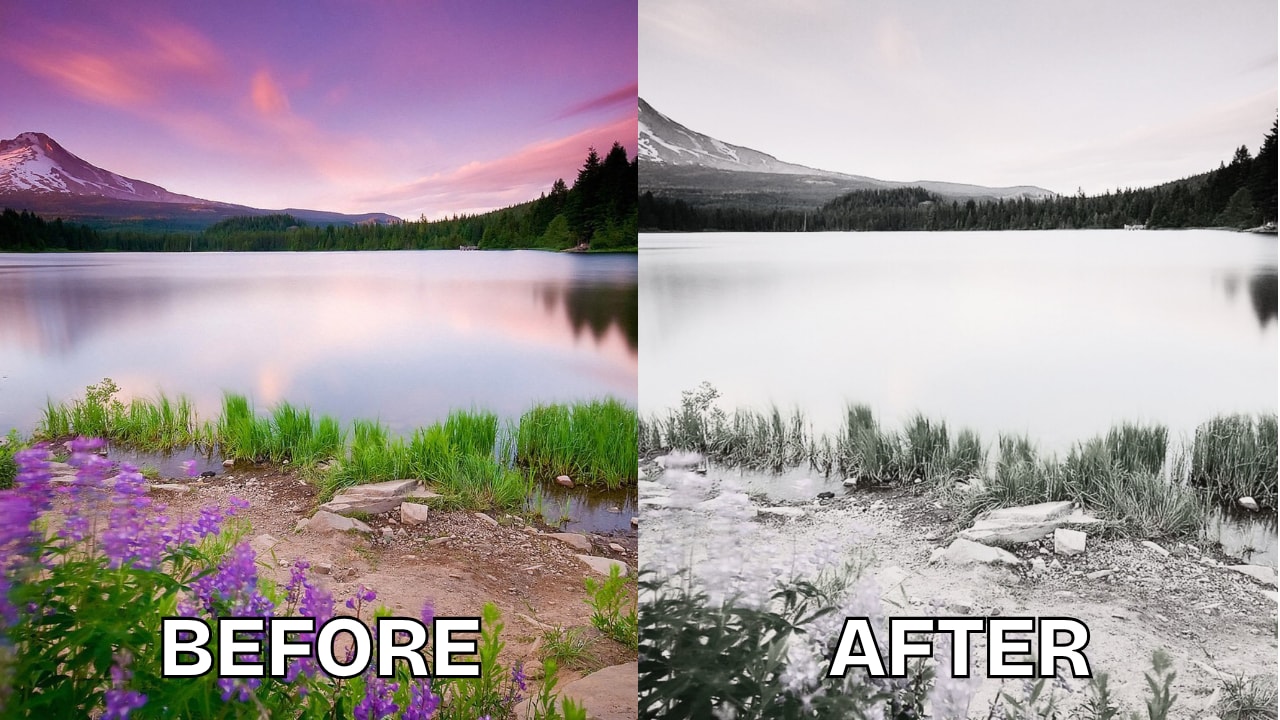 canva grayscale filter