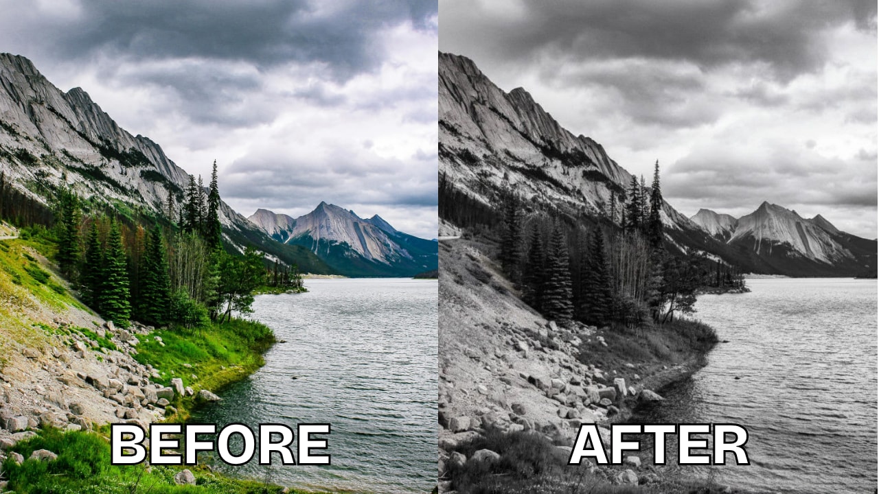 repairit grayscale filter