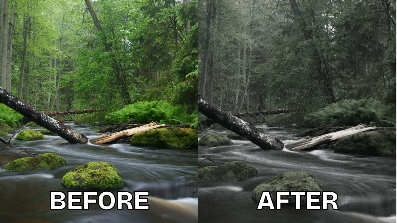 fotor grayscale filter