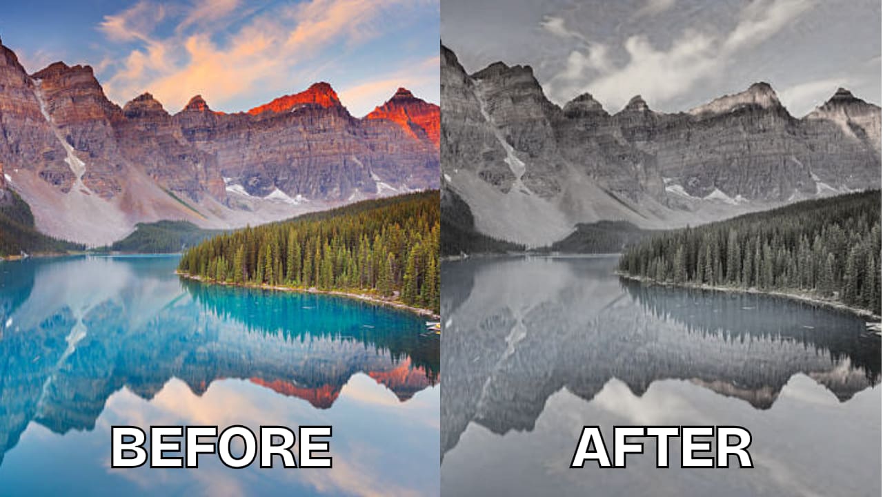 pixelied grayscale filter