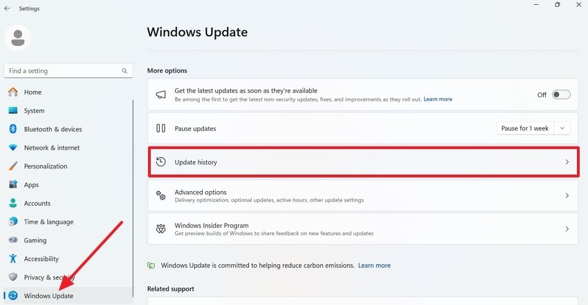 access windows update history