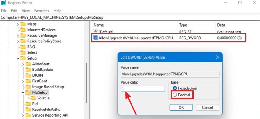 select 1 and decimal option